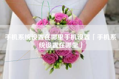 手机系统设置在哪里手机设置「手机系统设置在哪里」