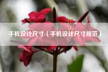 手机设计尺寸（手机设计尺寸规范）