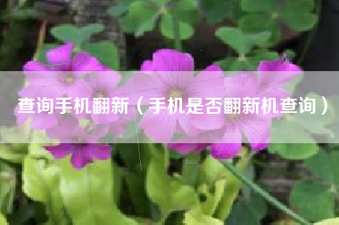 查询手机翻新（手机是否翻新机查询）