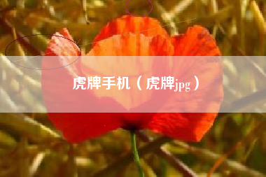 虎牌手机（虎牌jpg）