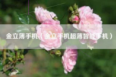 金立薄手机（金立手机超薄智能手机）