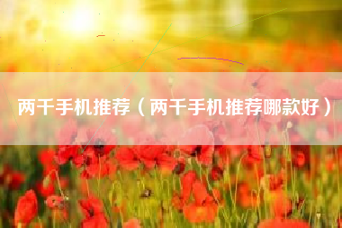 两千手机推荐（两千手机推荐哪款好）