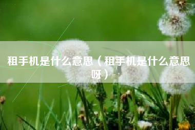 租手机是什么意思（租手机是什么意思呀）
