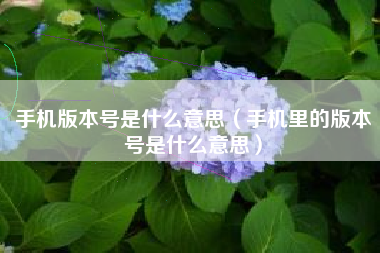 手机版本号是什么意思（手机里的版本号是什么意思）