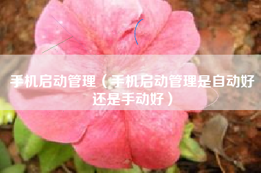 手机启动管理（手机启动管理是自动好还是手动好）