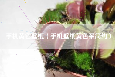 手机黄色壁纸（手机壁纸黄色系简约）