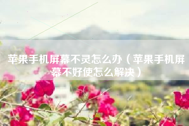 苹果手机屏幕不灵怎么办（苹果手机屏幕不好使怎么解决）