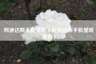 阿迪达斯手机壁纸（阿迪达斯手机壁纸黑色）