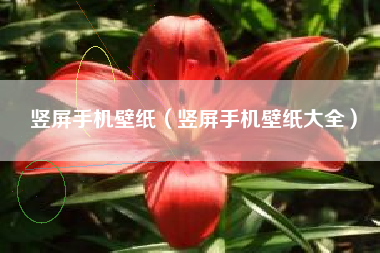 竖屏手机壁纸（竖屏手机壁纸大全）