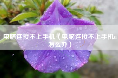 电脑连接不上手机（电脑连接不上手机u怎么办）
