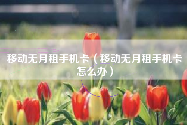 移动无月租手机卡（移动无月租手机卡怎么办）