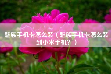 魅族手机卡怎么装（魅族手机卡怎么装到小米手机？）