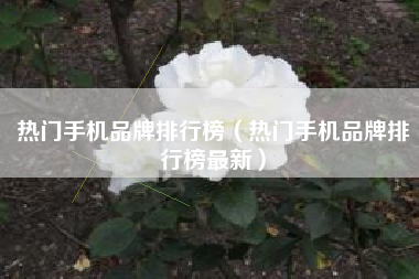 热门手机品牌排行榜（热门手机品牌排行榜最新）