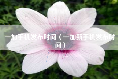 一加手机发布时间（一加新手机发布时间）