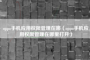 oppo手机应用权限管理在哪（oppo手机应用权限管理在哪里打开）