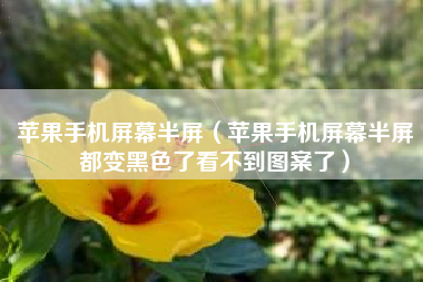 苹果手机屏幕半屏（苹果手机屏幕半屏都变黑色了看不到图案了）