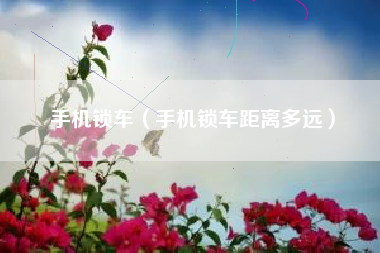 手机锁车（手机锁车距离多远）