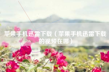 苹果手机迅雷下载（苹果手机迅雷下载的视频在哪）