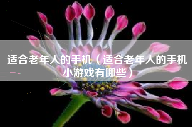 适合老年人的手机（适合老年人的手机小游戏有哪些）