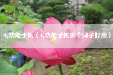4g功能手机（4g功能手机哪个牌子好用）