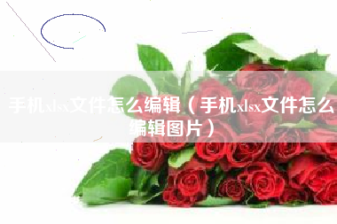 手机xlsx文件怎么编辑（手机xlsx文件怎么编辑图片）