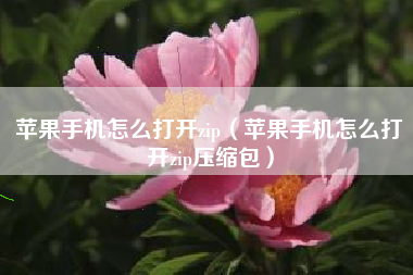 苹果手机怎么打开zip（苹果手机怎么打开zip压缩包）