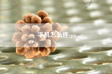 手机怎么连vpn