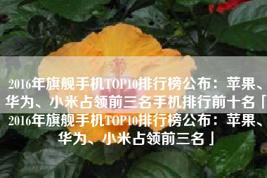 2016年旗舰手机TOP10排行榜公布：苹果、华为、小米占领前三名手机排行前十名「2016年旗舰手机TOP10排行榜公布：苹果、华为、小米占领前三名」