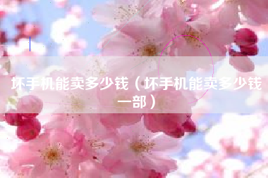 坏手机能卖多少钱（坏手机能卖多少钱一部）