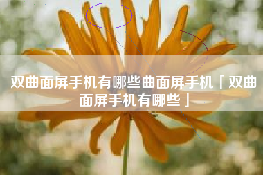 双曲面屏手机有哪些曲面屏手机「双曲面屏手机有哪些」