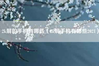 2k屏的手机有哪些（2k屏手机有哪些2021）