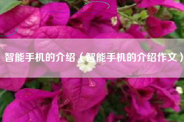智能手机的介绍（智能手机的介绍作文）