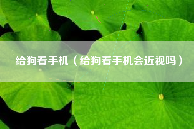 给狗看手机（给狗看手机会近视吗）