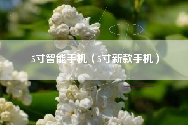 5寸智能手机（5寸新款手机）