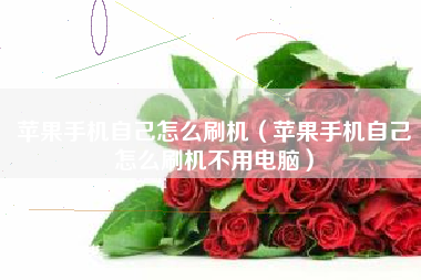 苹果手机自己怎么刷机（苹果手机自己怎么刷机不用电脑）