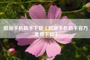 酷派手机助手下载（酷派手机助手官方免费下载）