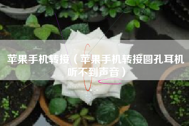苹果手机转接（苹果手机转接圆孔耳机听不到声音）