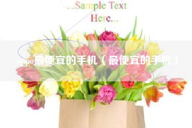 oppo最便宜的手机（最便宜的手机）