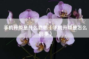 手机升级是什么意思（手机升级是怎么回事）
