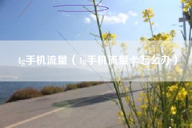 4g手机流量（4g手机流量卡怎么办）