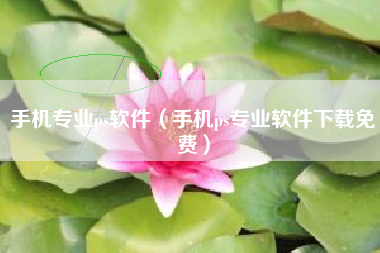 手机专业ps软件（手机ps专业软件下载免费）