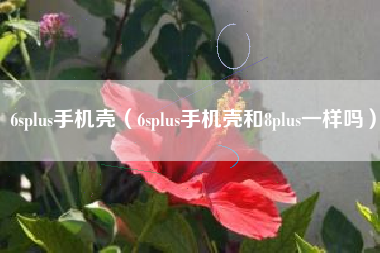 6splus手机壳（6splus手机壳和8plus一样吗）