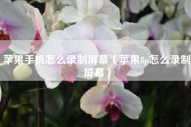 苹果手机怎么录制屏幕（苹果8p怎么录制屏幕）