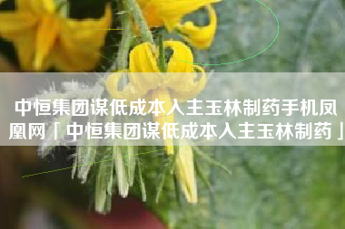 中恒集团谋低成本入主玉林制药手机凤凰网「中恒集团谋低成本入主玉林制药」
