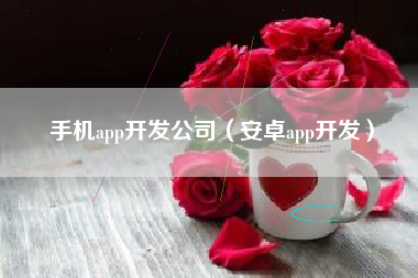 手机app开发公司（安卓app开发）