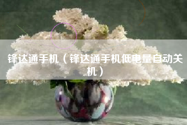 锋达通手机（锋达通手机低电量自动关机）