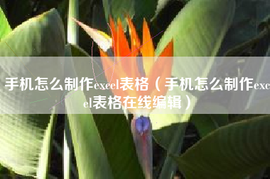 手机怎么制作excel表格（手机怎么制作excel表格在线编辑）