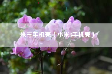 米三手机壳（小米3手机壳）