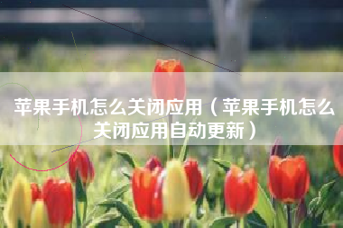 苹果手机怎么关闭应用（苹果手机怎么关闭应用自动更新）