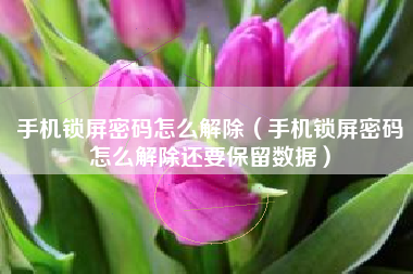 手机锁屏密码怎么解除（手机锁屏密码怎么解除还要保留数据）